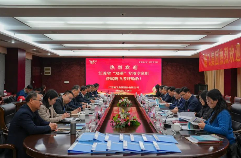 鹏飞集团“低阶煤绿色洁净利用热解技术装备研发及产业化”项目通过验收